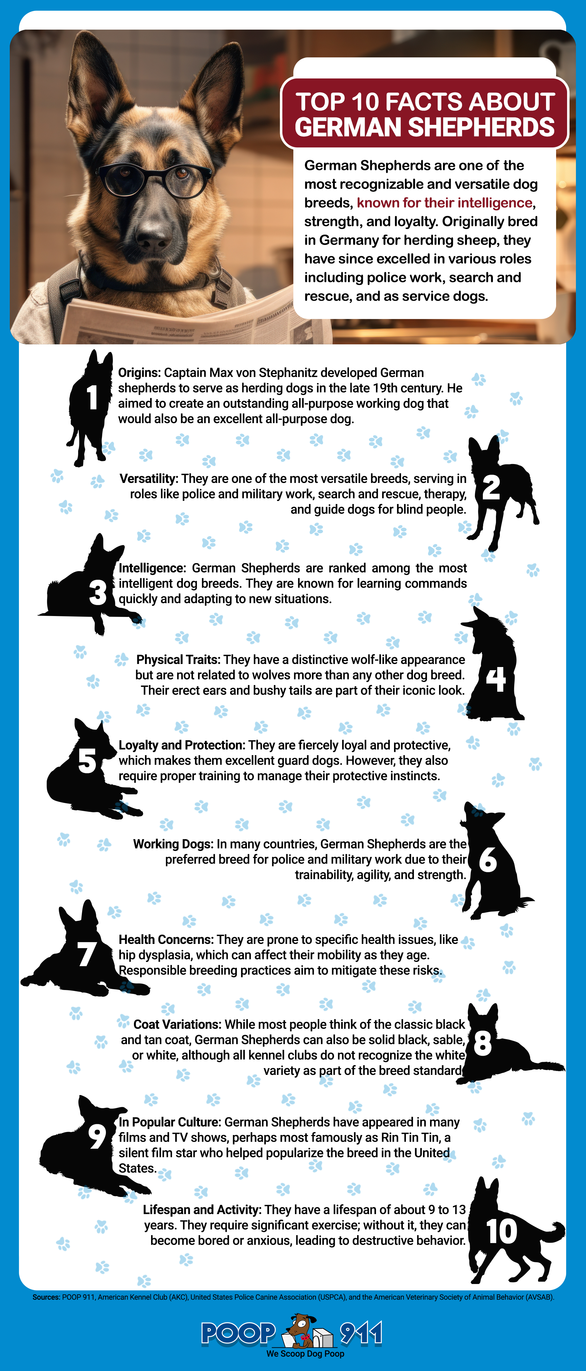 Top 10 Facts About German Shepherds Infographic. German Shepherds are one of the most recognizable and versatile dog breeds, known for their intelligence, strength, and loyalty.